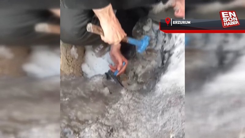 Erzurum’da, buz tutan boruda mahsur kalan kedi kurtarıldı