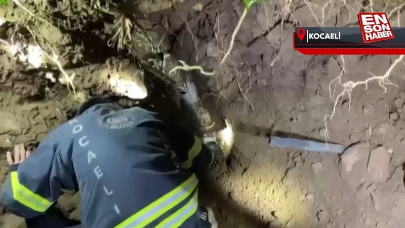 Kocaeli'de yavru kedi gider borusunda sıkıştı, ekipler seferber oldu
