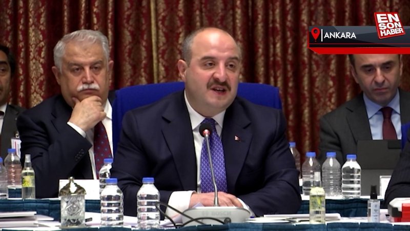 Mustafa Varank'tan HDP'li Garo Paylan'a savunma sanayii yanıtı