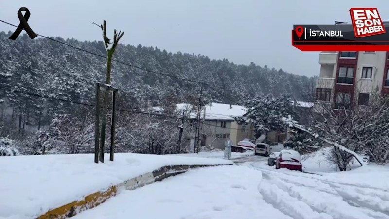 İstanbul'da kar yağışı etkili oluyor