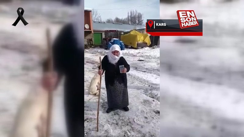 Kars'ta 70 yaşındaki kadın düvesini depremzedeler için sattı