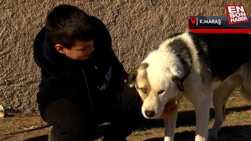 Kahramanmaraş'ta köpeği enkazdan çıkmasına yardım etti