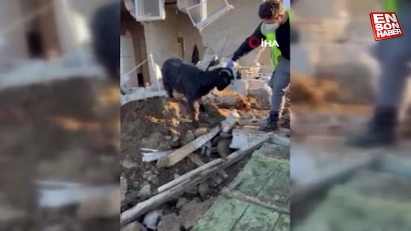 Kahramanmaraş'ta depremin 17. gününde güzel bir haber daha