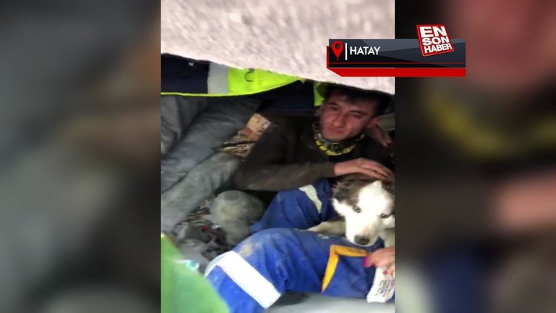 Hatay'da 'Alex' isimli köpek 23 gün sonra enkazdan kurtarıldı