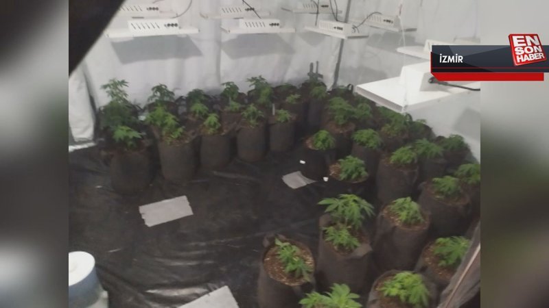 İzmir'de evini uyuşturucu serasına çevirdi