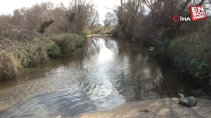 İstanbul'da Büyükçekmece Barajı’na akan derede kimyasal atık şüphesi