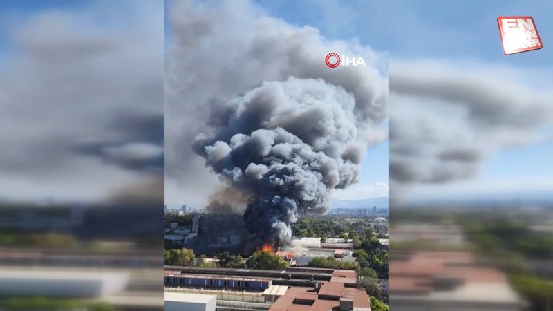 Meksika’da sanayi bölgesinde yangın