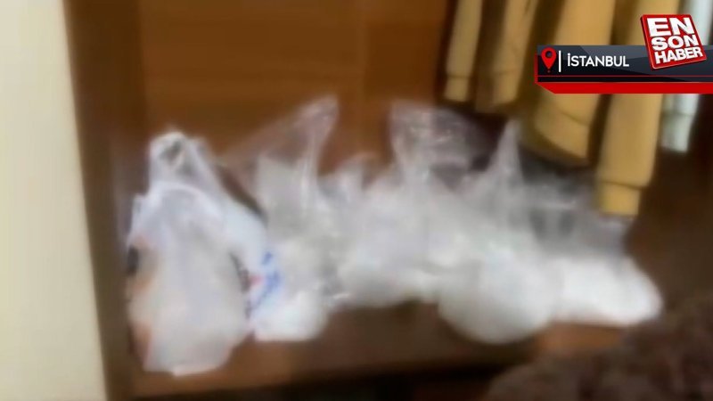 İstanbul'da 'kökünü kurutma' operasyonu