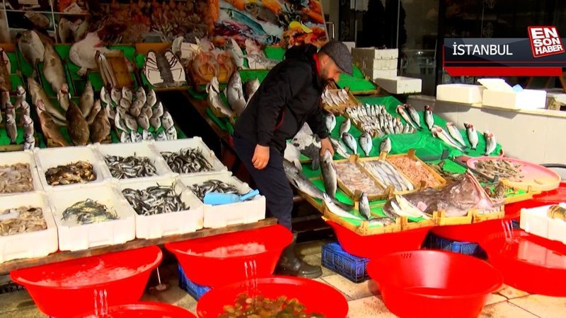 Marmara Denizi'nde balık türü azalıyor