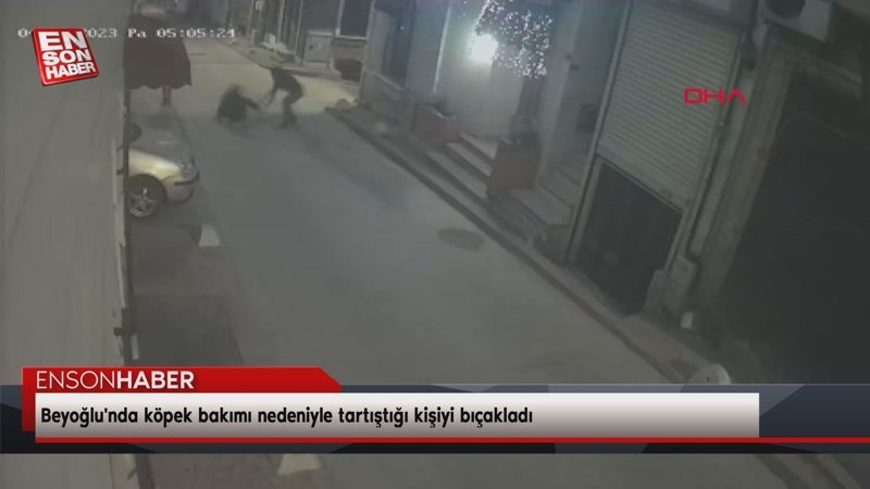 Beyoğlu'nda köpek bakımı nedeniyle tartıştığı kişiyi bıçakladı