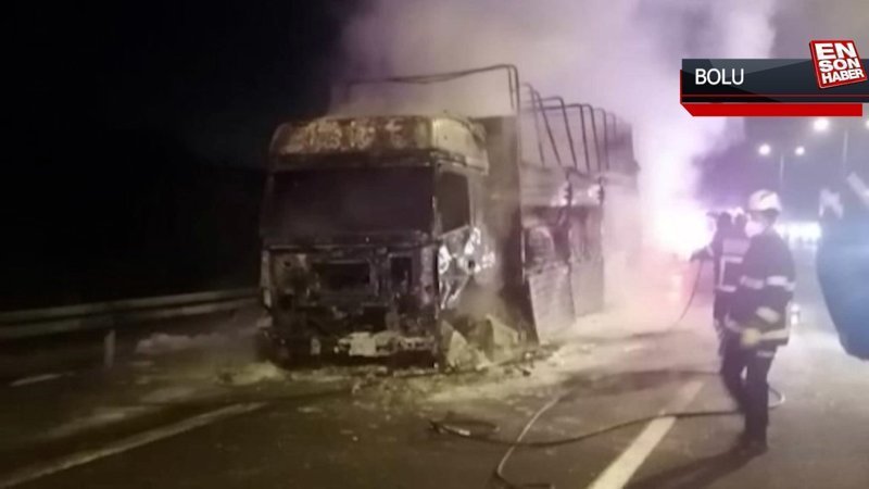 Bolu'da meydana gelen kazada aynı aileden 4 kişi hayatını kaybetti