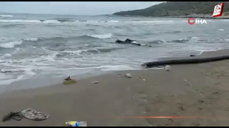 Muğla açıklarında botu batan göçmenler yüzerek karaya çıktı