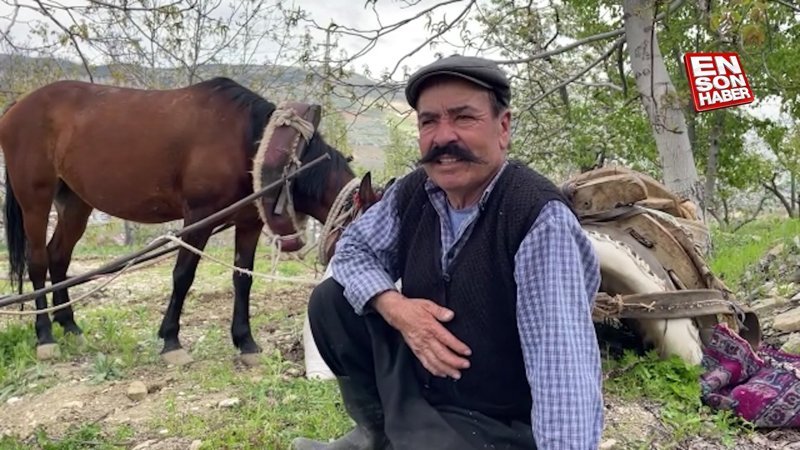 Kahramanmaraş'ta ata koştuğu sabanla tarlaları sürdü, 2 oğlunu doktor olarak okuttu
