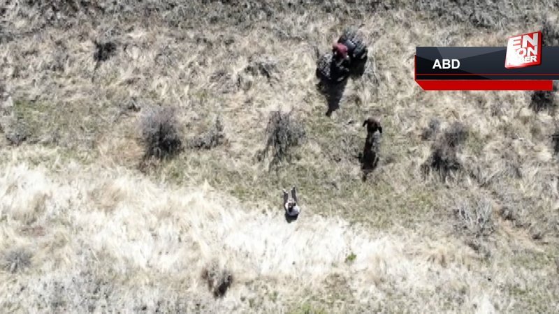 ABD'de kaybolan çocuk İHA yardımıyla bulundu