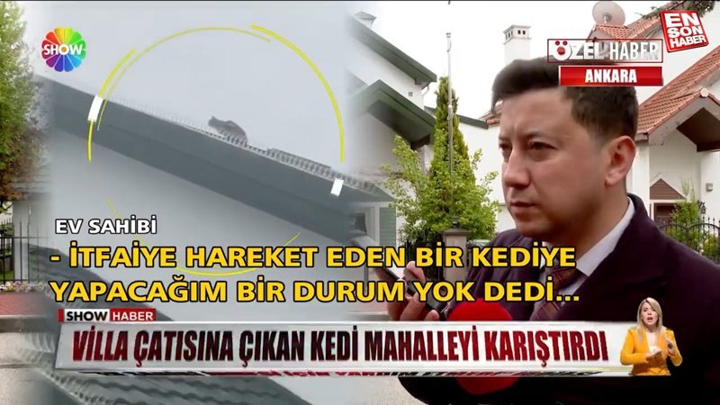 Villa çatısına çıkan kedi mahalleyi karıştırdı