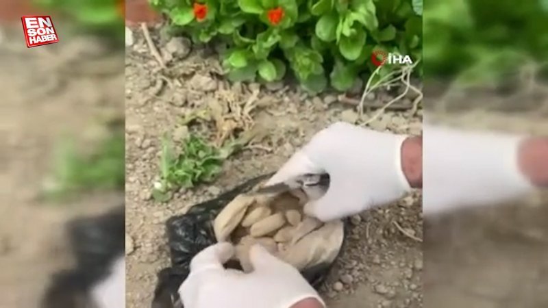 Konya'da midesinde eroinle yakalandı