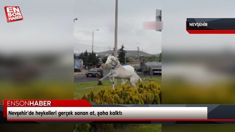 Nevşehir'de heykelleri gerçek sanan at, şaha kalktı