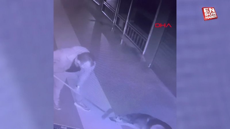 Rize’de sever gibi yaptığı köpeğe fırça sapıyla saldırdı