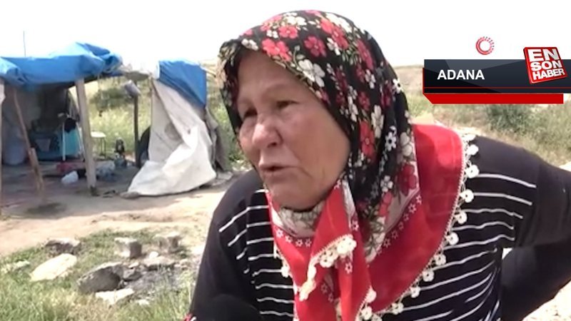 Çocuklarının bakmadığı yaşlı kadını çadırda da barındırmıyorlar