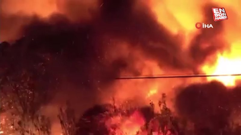 İspanya'da orman yangını: 8 bin hektarlık alan kül oldu