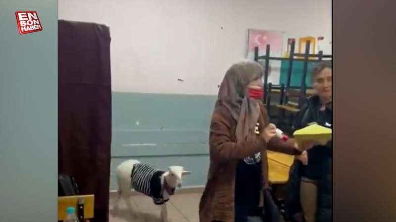 Sarıyer'de bir kadın, kuzuyla birlikte sandık başına gelerek oy kullandı