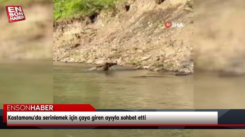 Kastamonu'da serinlemek için çaya giren ayıyla sohbet etti