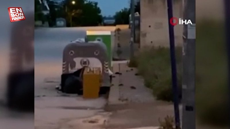 Ankara’da aşırı yağış sebebiyle fareler caddeleri bastı