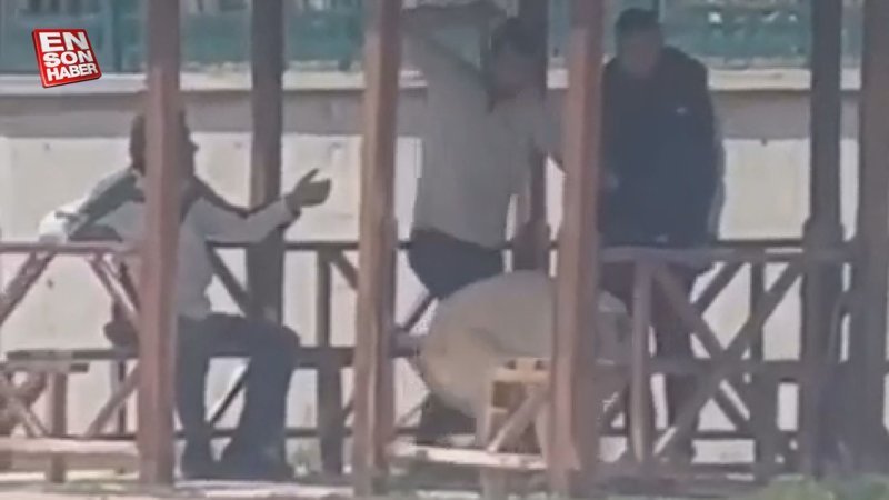 Konya'da köpeğe eziyet eden şahıs