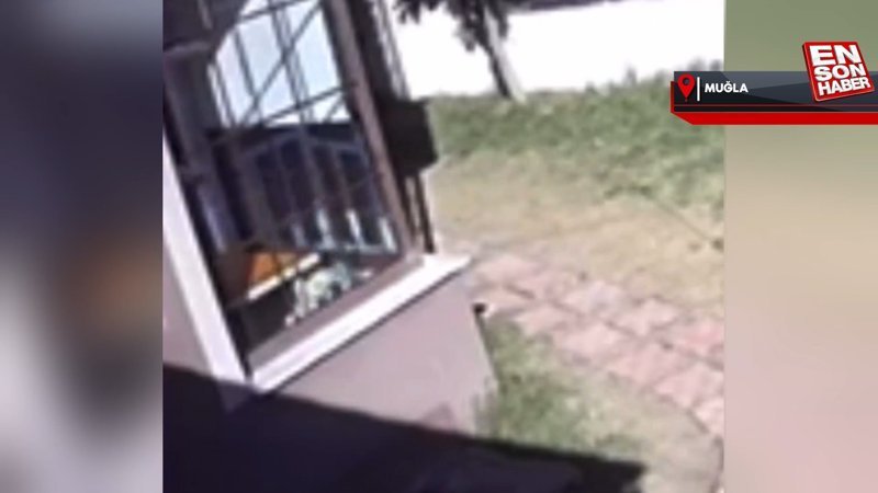 Muğla'da 3 yaşındaki çocuğunun kreşte yaralandığını iddia eden anne şikayetçi oldu