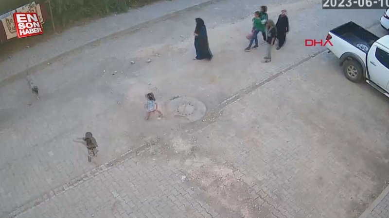 Şanlıurfa'da köpek, ailesinin yanındaki çocuğa saldırdı