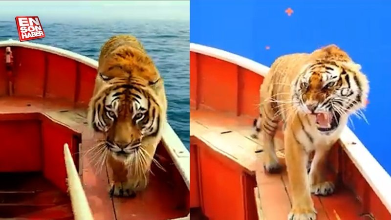 Pi’nin Yaşamı filminin hayal kırıklığı yaratan kamera arkası