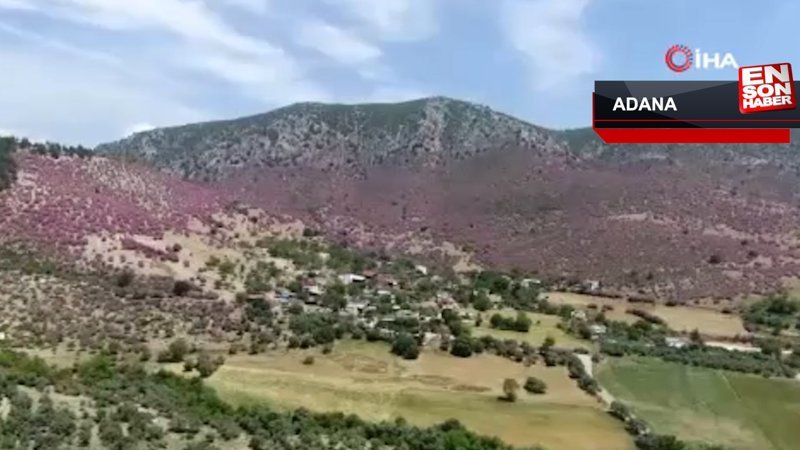 1926'da ilden ilçeye dönüştürülen Kozan’ı yeniden il olma heyecanı sardı