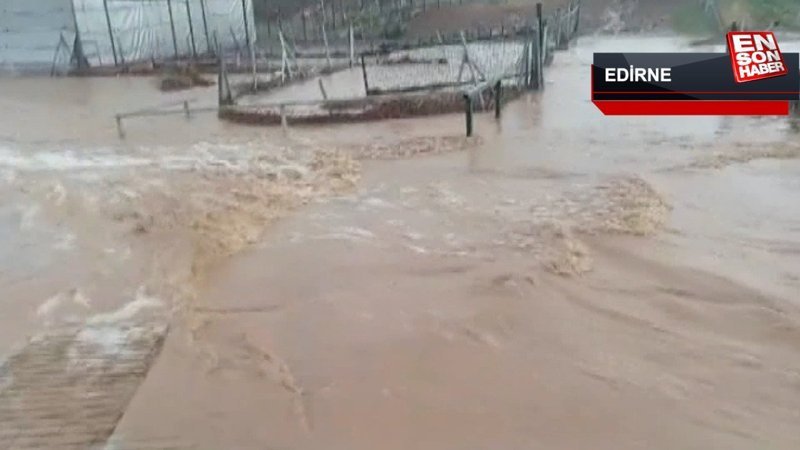 Edirne'de kuvvetli yağış sele yol açtı