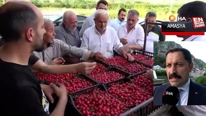 Amasya kiraz üretiminde Türkiye üçüncüsü
