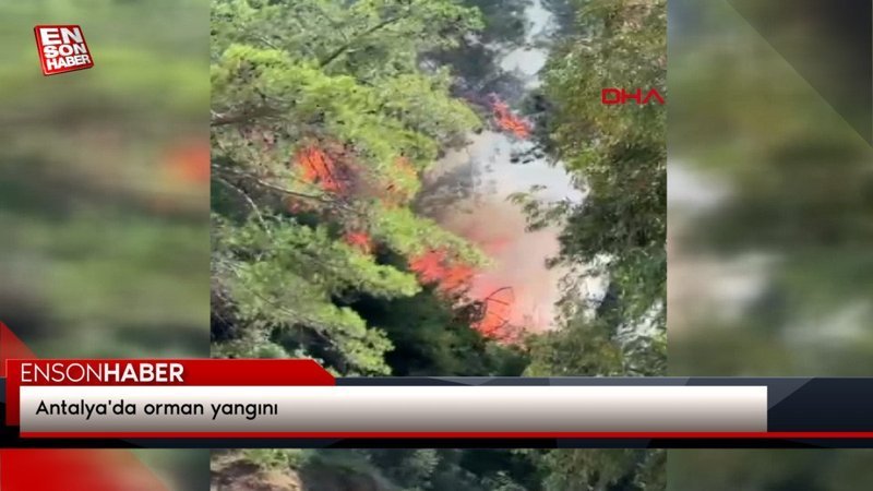 Antalya'da orman yangını