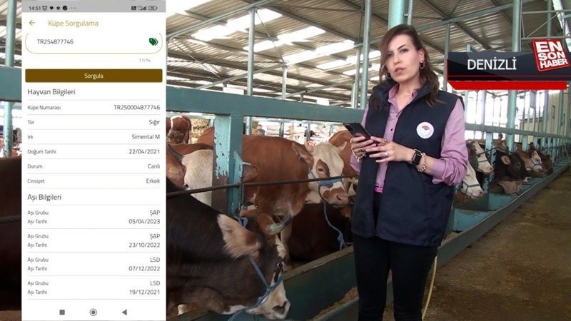 Kurbanlıklar cebe girdi