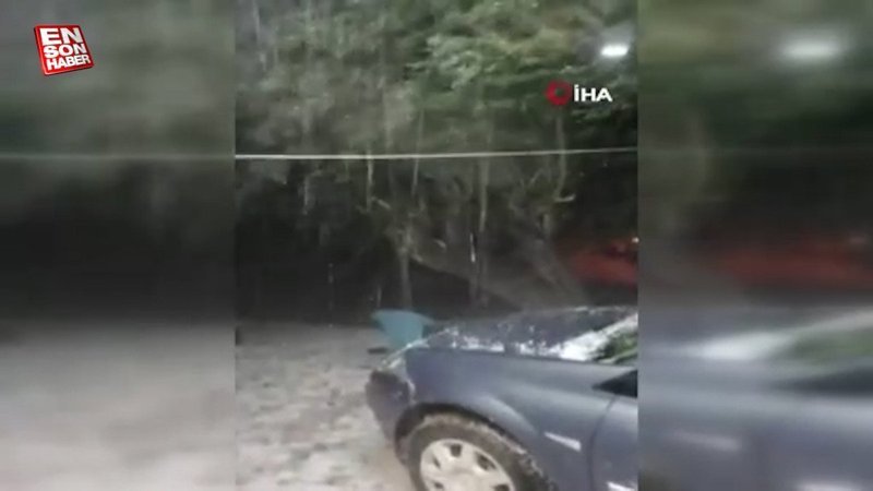 Malatya’da dolu yağışı kayısı bahçelerine zarar verdi