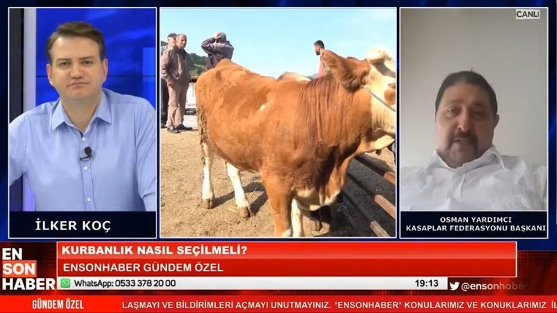 Kasaplar Federasyonu Başkanı Ensonhaber'e anlattı: Kurbanlık alırken nelere dikkat etmeliyiz?