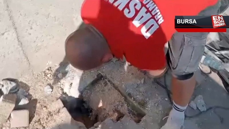 Yağmur borusuna sıkışan kedi 5 saatte böyle kurtarıldı