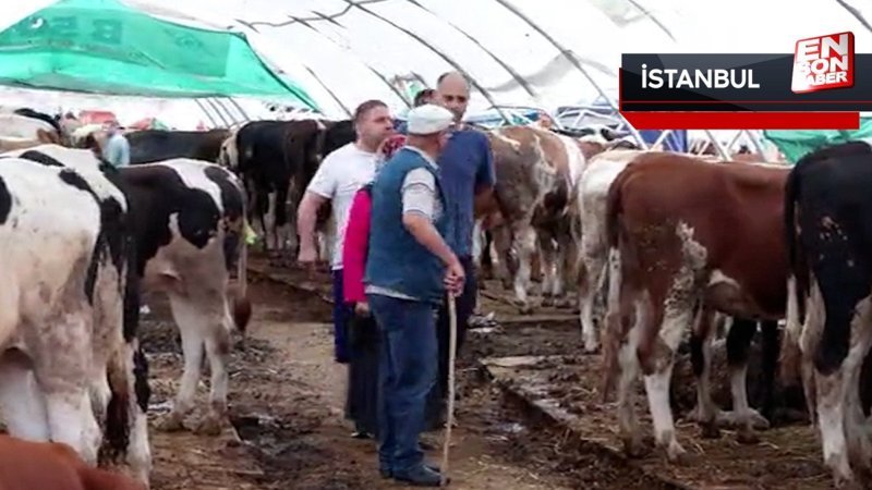 Kurban Bayramı'nın ikinci gününde vatandaşların indirim umudu