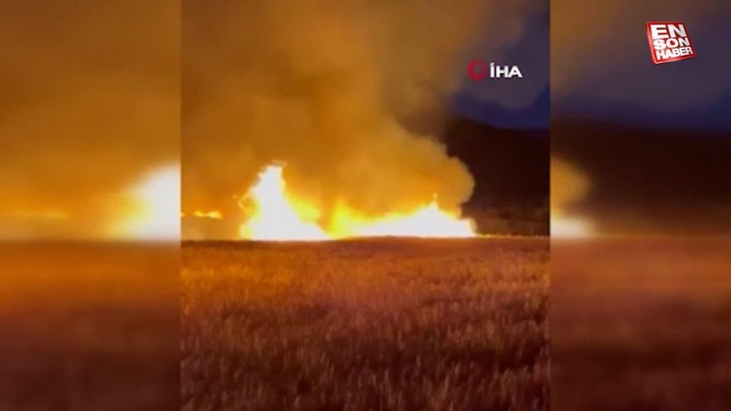 Keşan'da 100 dönüm alanda ekili buğday kül oldu