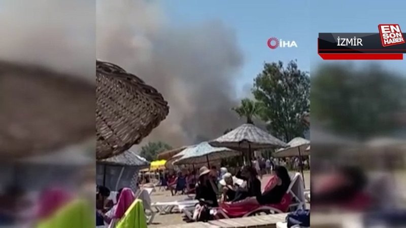 İzmir'deki sazlık alanda yangın çıktı