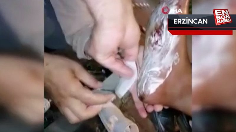 Erzincanlı hacılar vatandaşın yarasına merhem oldu