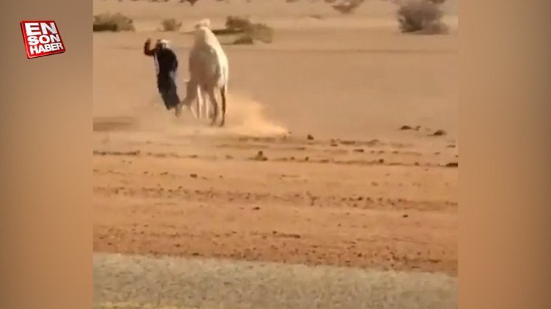 Devenin fotoğrafını çekmek için başvurduğu yöntem güldürdü