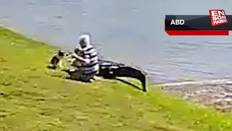 ABD'de timsahın saldırdığı yaşlı kadın öldü