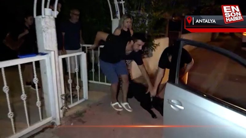 Antalya'da tasmasız ve ağızlıksız doberman parkta aileye dehşeti yaşattı