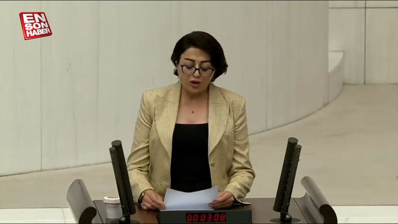 HDP'li vekilden skandal konuşma: Doğuya kürdistan dedi, maden sahalarını karaladı
