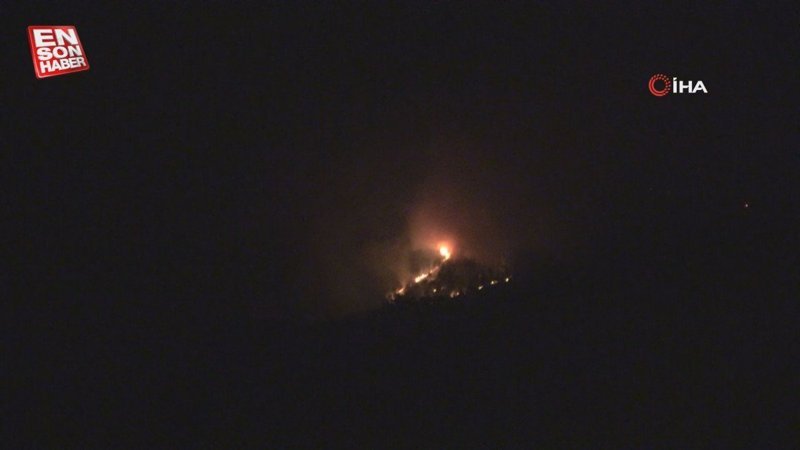 Hatay’daki ormanda yangın çıktı