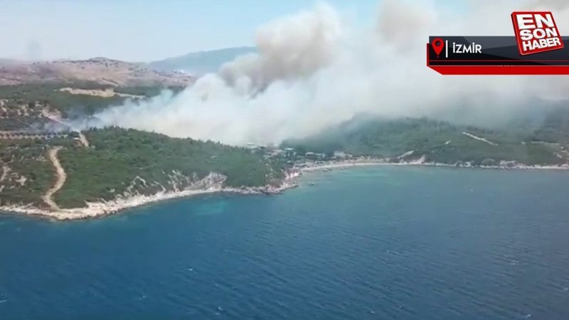 Aliağa'da çıkan orman yangınına müdahale ediliyor