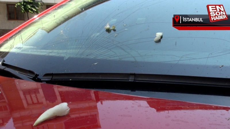 Sultangazi'de aracının camı kırıldı: Atılan soğanlar yüzünden oldu